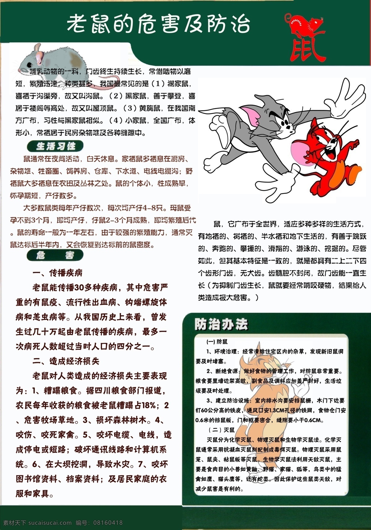 老鼠 危害 防治 生活习性 猫 健康教育 背景素材 分层 源文件
