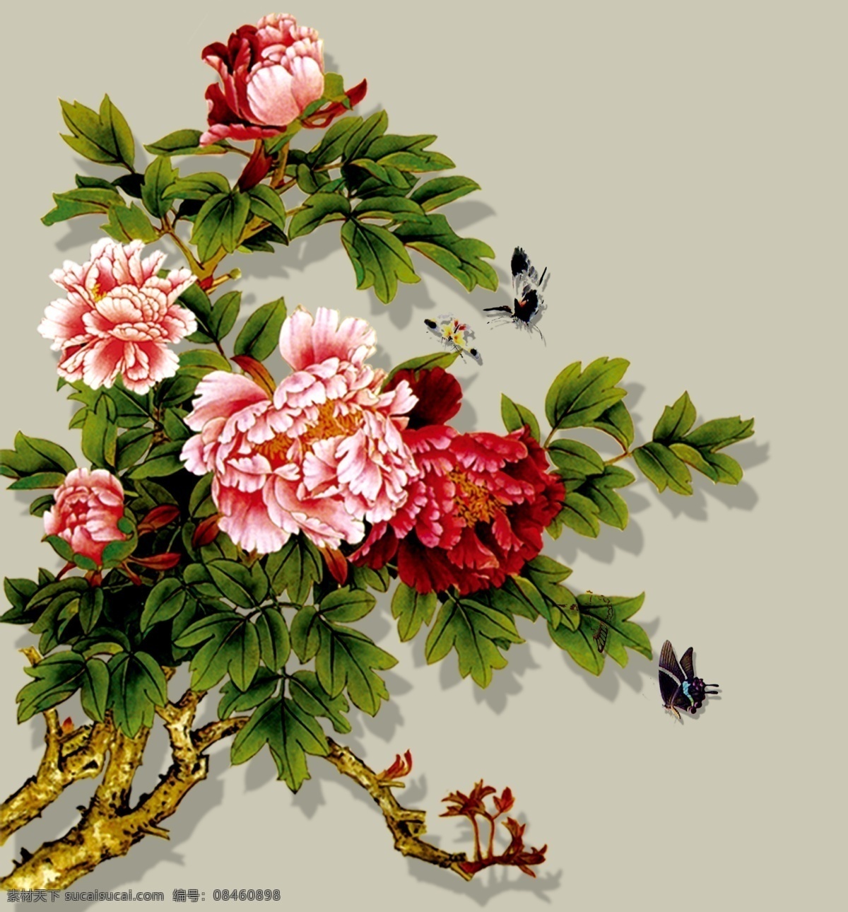 牡丹 花 花朵花草 卡通花朵 插画图片 唯美花朵 花朵贺卡 花朵儿 花元素 免扣花素材 免扣花 手绘花朵 金色花朵 花朵背景 底纹 手绘 手绘花纹 矢量花朵 免抠花朵 彩色花 插画 艺术花 花朵叶子 花朵 叶子 花朵树叶 植物树叶 树叶花草 插画花朵 花草 花纹花草 花形 牡丹花