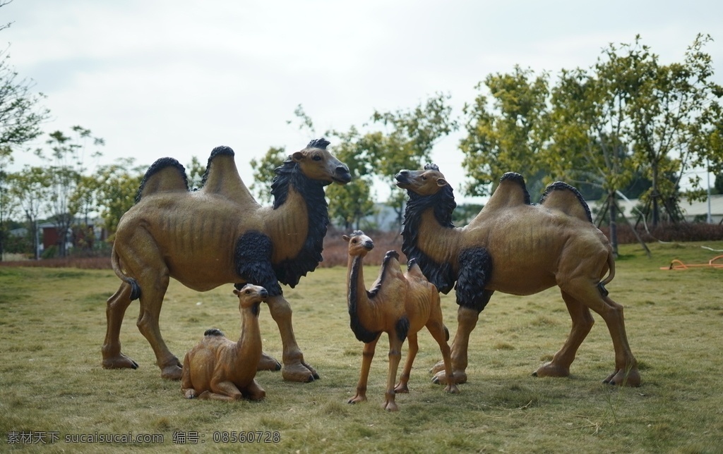 骆驼图片 雕塑 摆件 美陈 骆驼 草地