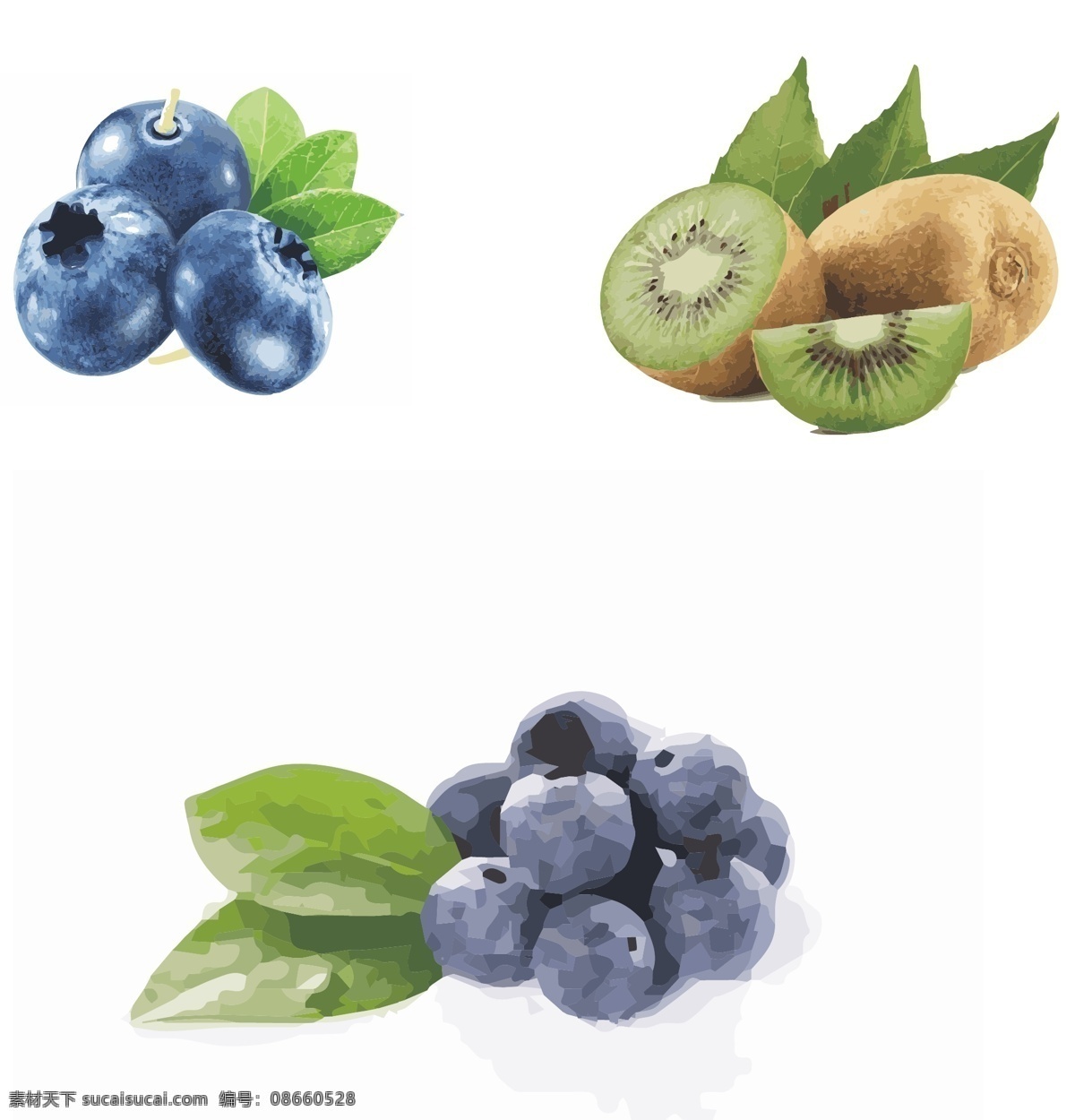 水果 蓝莓 奇异 果 奇异果 猕猴桃
