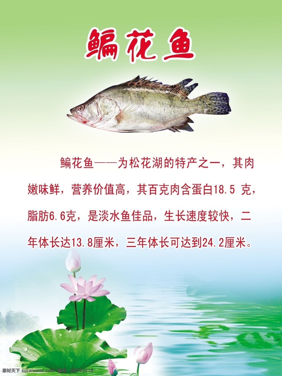 psd分层 分层 背景 荷花 鱼类 源文件 鳊 花鱼 模板下载 鳊花鱼 鳊花鱼介绍 psd源文件