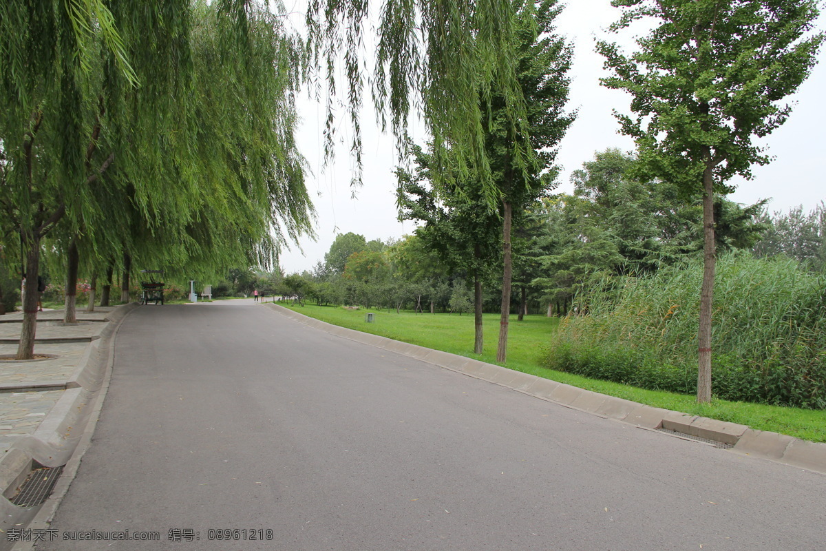 公园一角 公园 一角 柳树 安静 柏油路 自然景观 建筑景观 灰色