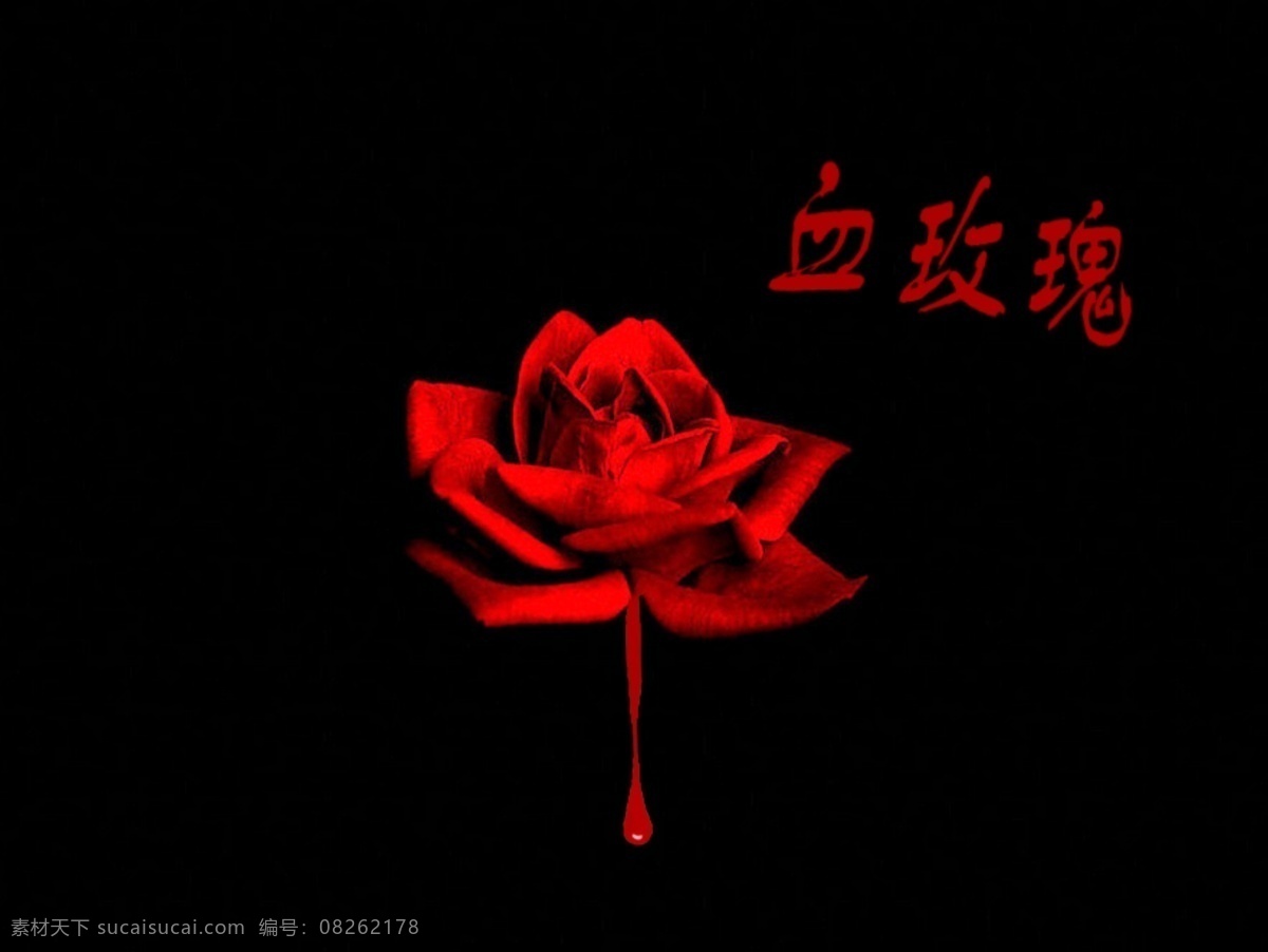血 玫瑰 红色 浪漫 忧愁 海报 其他海报设计