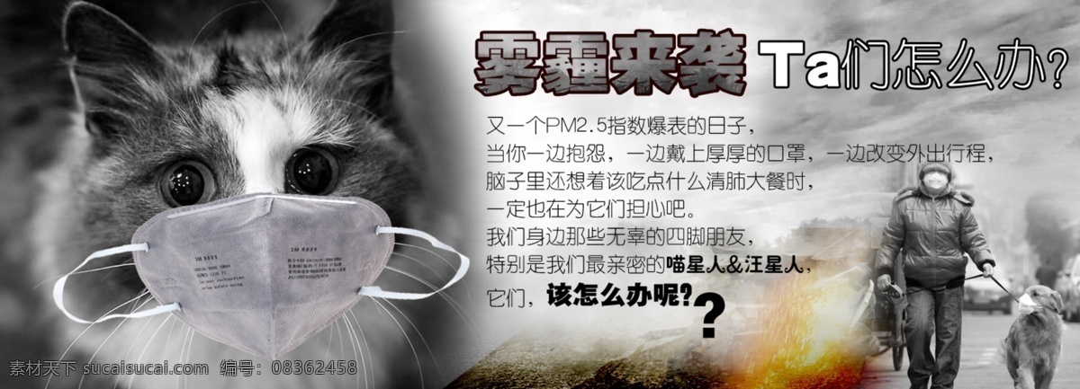 雾霾 猫星人 口罩 灰色