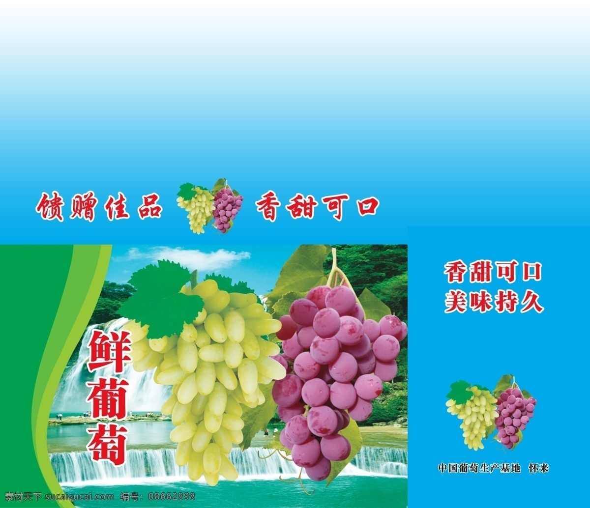 葡萄马奶提 葡萄包装 马奶提礼盒 红葡萄 鲜果 水果 果品包装 包装设计