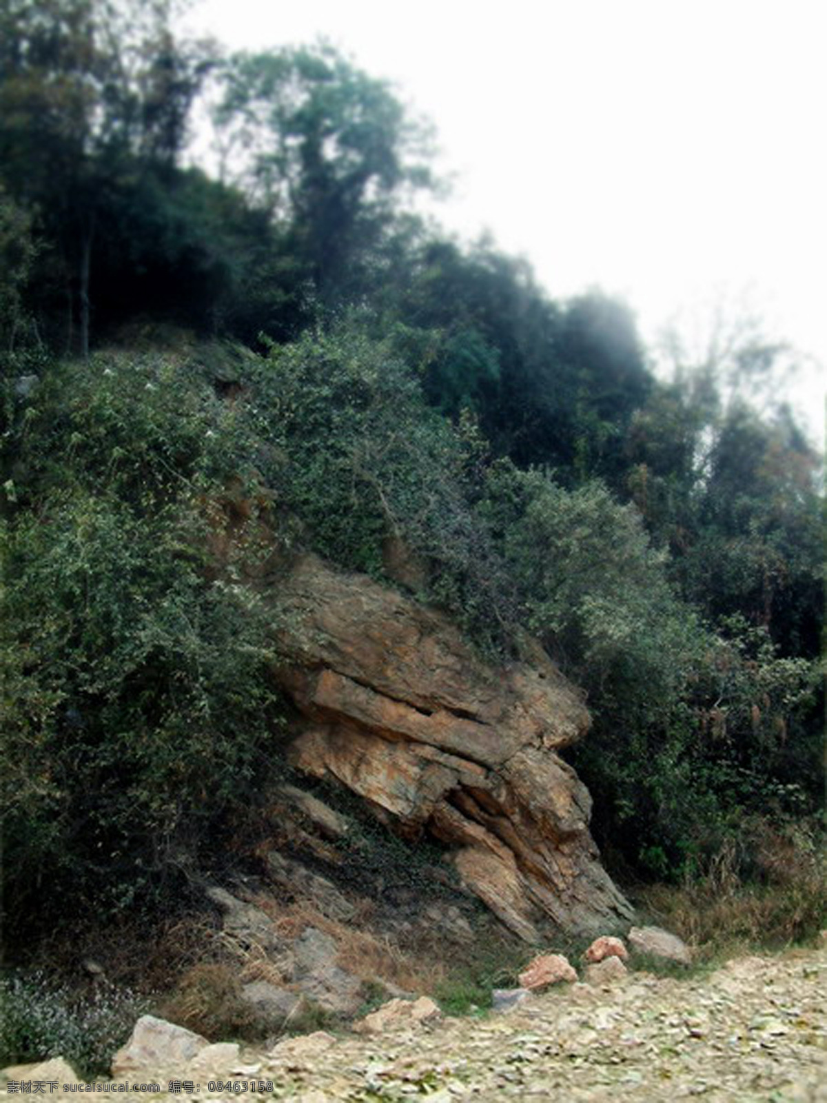雄狮 探 首 山水 山水背景 山水风光 山水风景 山水风景画 山水风景图片 山水国画 山水画 山水画图片 山水图