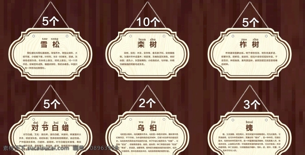 树木挂牌 简约 大气 树名 挂牌 展板设计