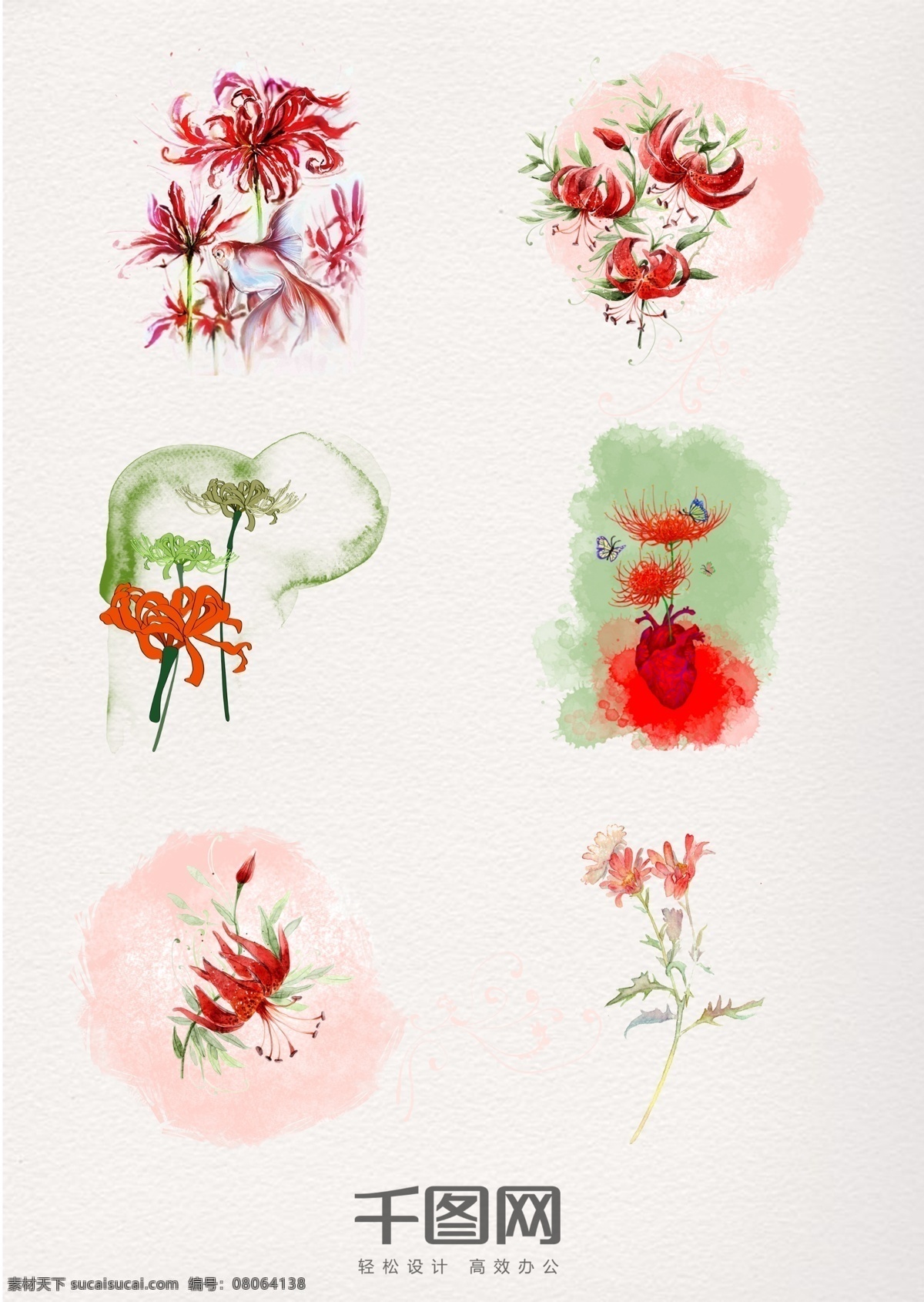 手绘 彩色 油墨 彼岸 花 元素 红色 彼岸花 绽放 花朵 海报素材 宣传素材 广告素材