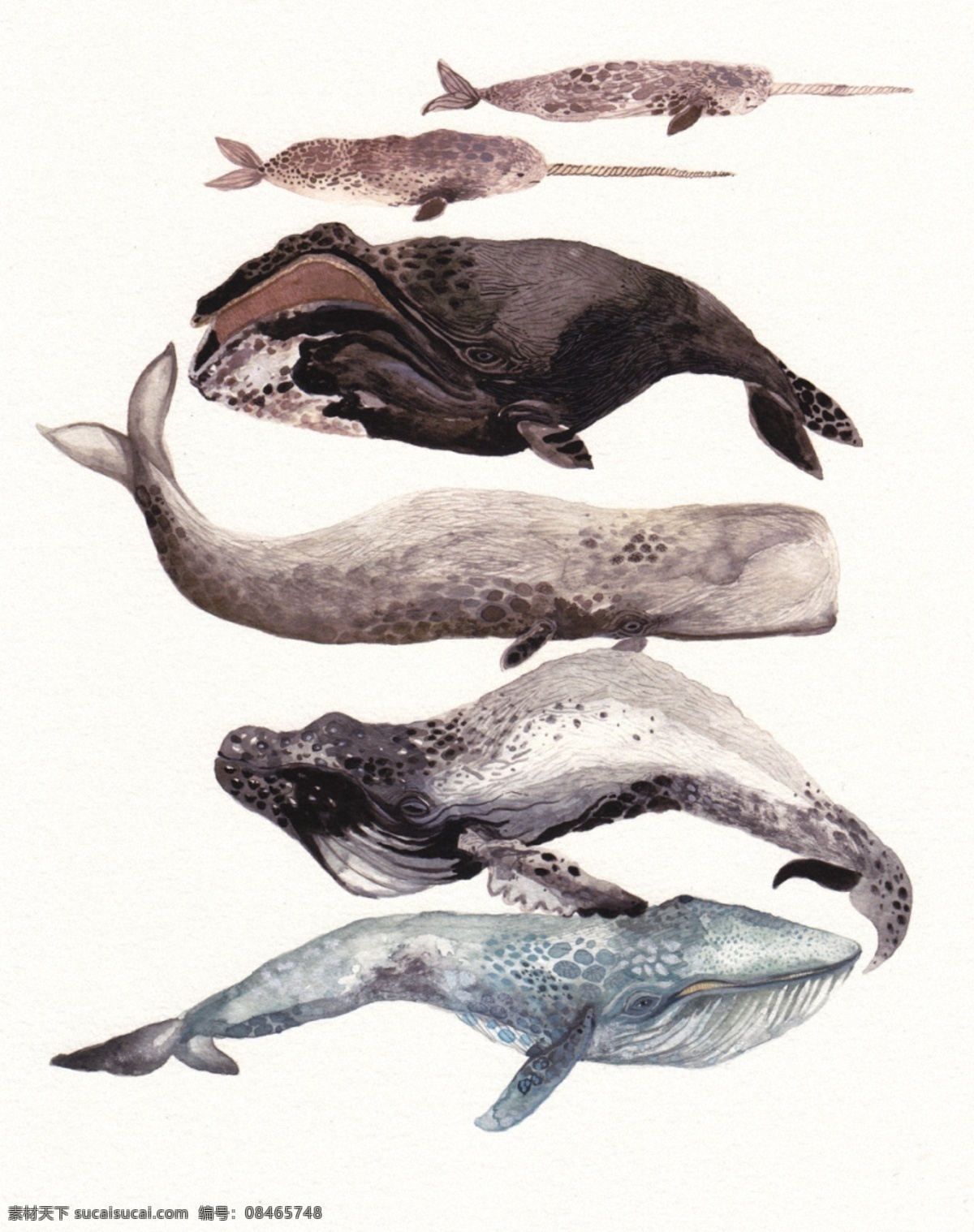 海洋鱼类 水彩 插画 油画 颜料涂鸦 花纹拼接 金鱼 海鲜 欧美水彩 小清新 植物 动物手绘 装饰画 北欧风格 抽象画 风格绘画 参考素材 装饰画芯 艺术画 鱼类 虾 贝壳 海洋生物 热带鱼 五彩斑斓 文化艺术 绘画书法