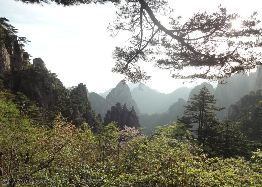黄山 安徽黄山 黄山风景 安徽风景 安徽风光 黄山风光 黄山美景 徽州之旅 自然景观 风景名胜