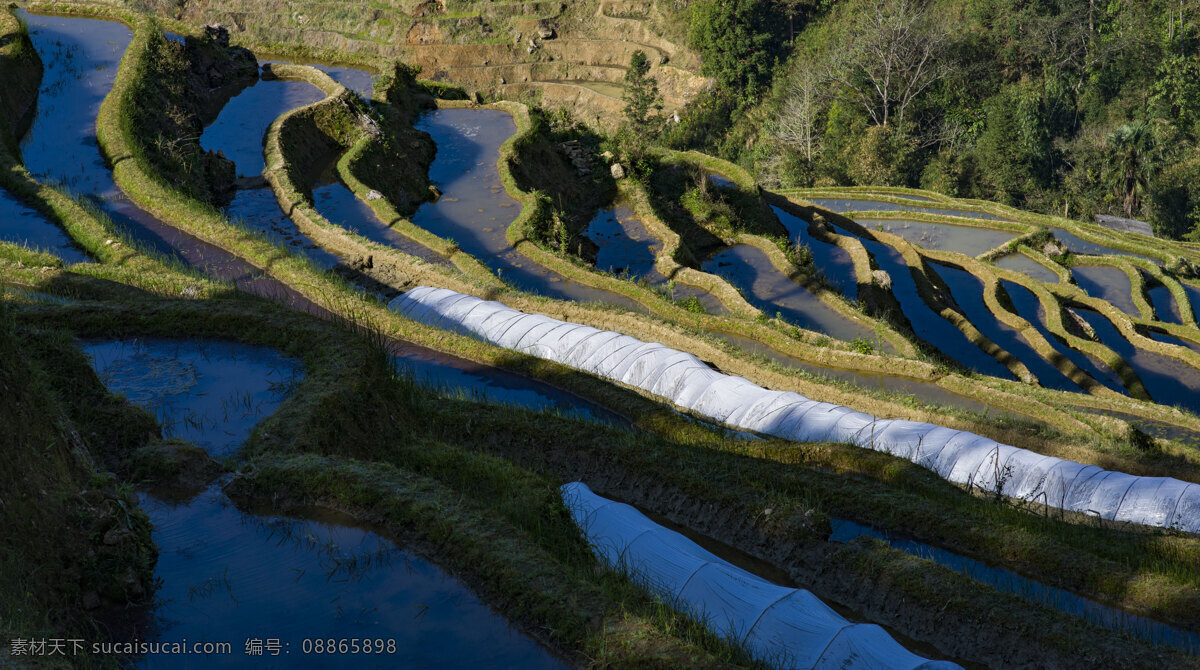 元阳 梯田 景观 云南 高清 原图 风景 绿色 春天 植物