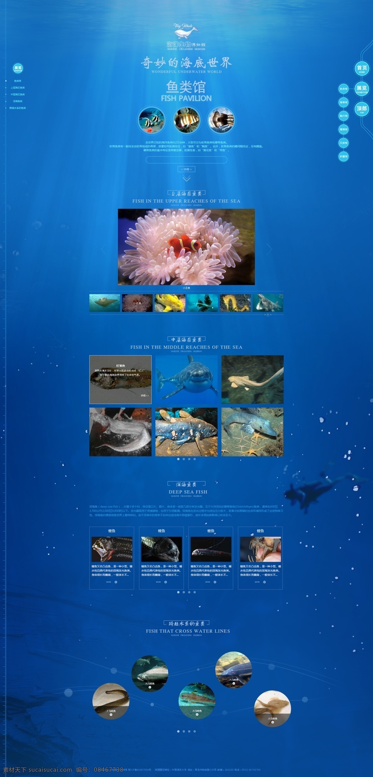 海洋生物 博物馆 x 海洋 网站 网页 蓝色 简约