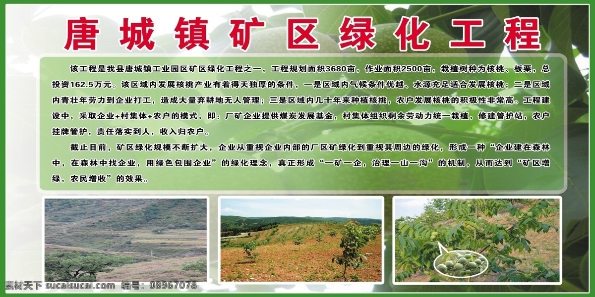 安泽 唐城 矿区 绿化工程 简介 唐城核桃 核桃简介 单位版面 室外广告设计