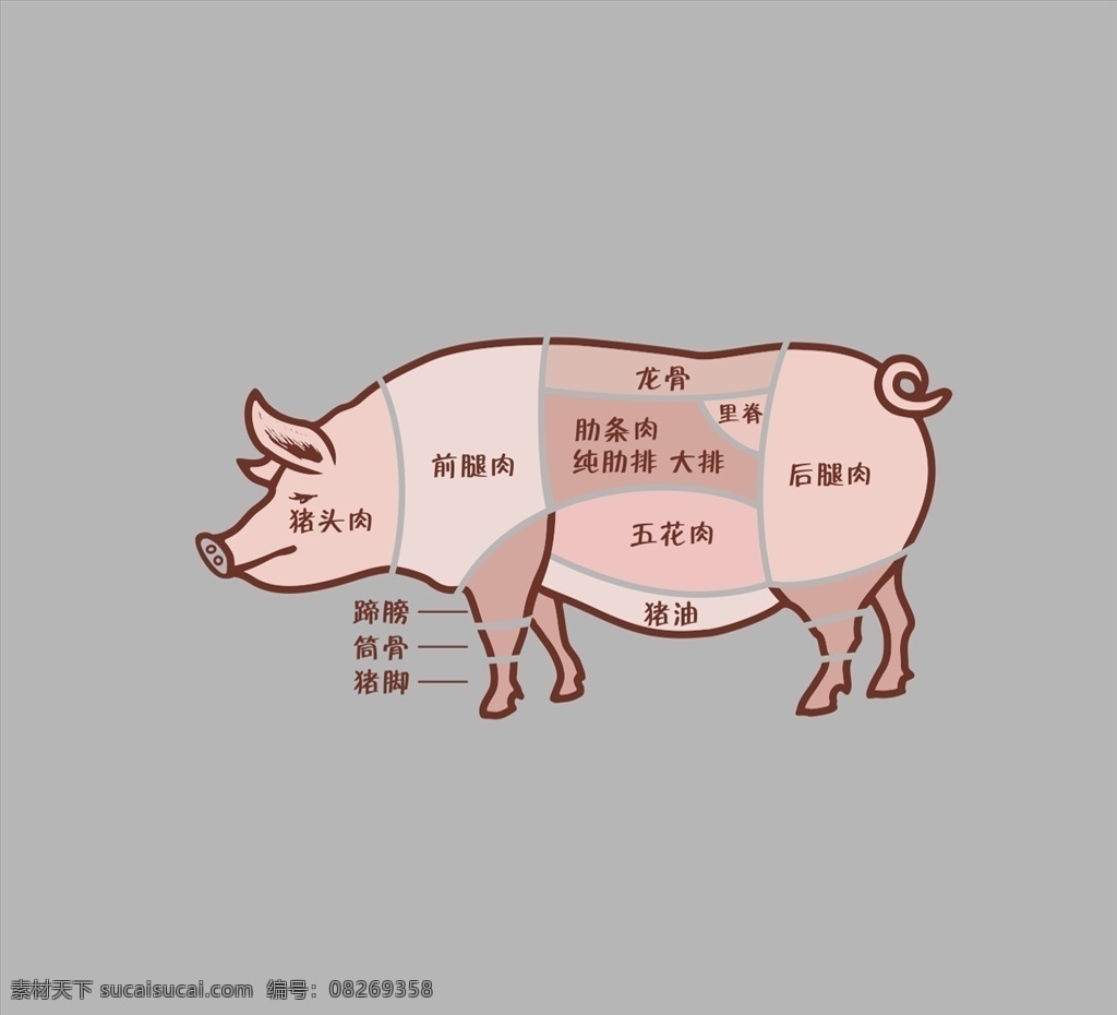 猪肉分割图 猪 猪肉 分割 猪头 矢量猪 矢量猪肉 分割图 矢量图