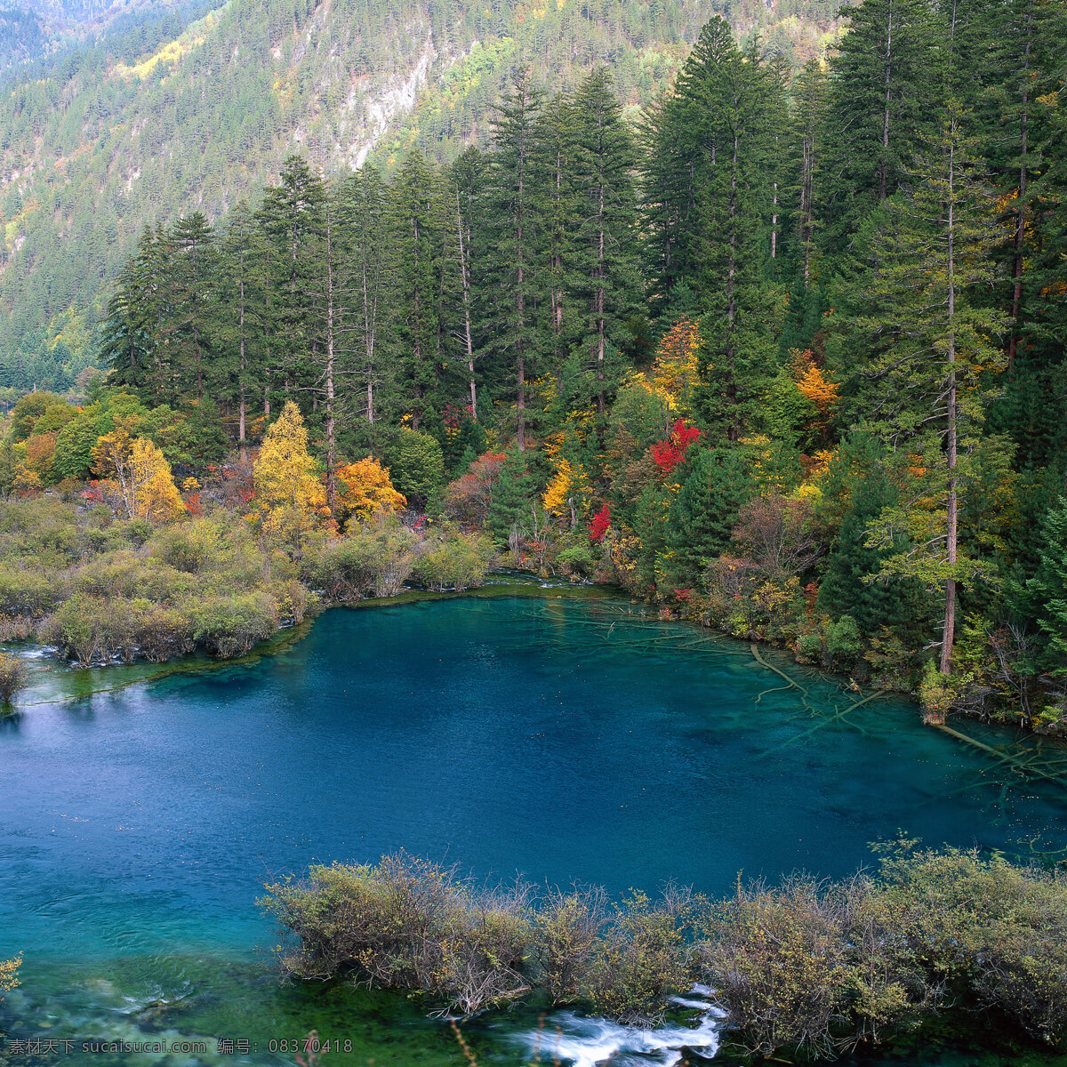 九寨沟 树木 山 兰色 清新 山水风景 自然景观