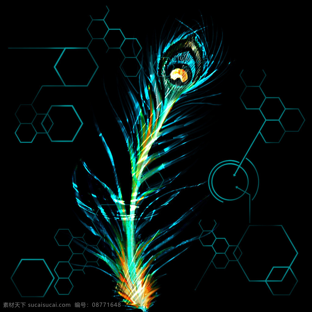 孔雀羽毛技术 ps笔刷
