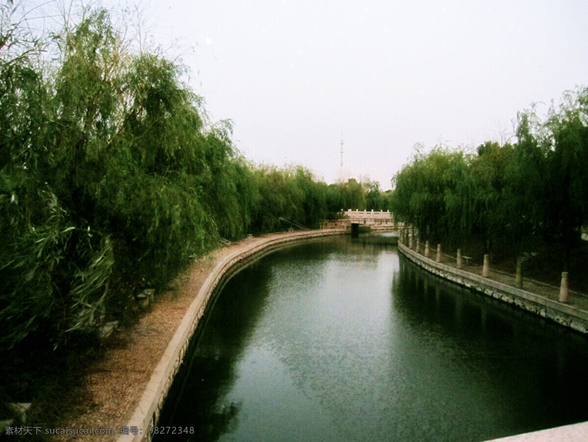 青青 河岸 绿水 青青校园 风景 生活 旅游餐饮