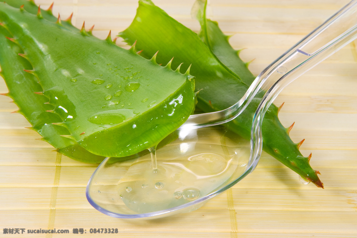 玻璃 勺子 芦荟 玻璃勺子 植物 蔬菜图片 餐饮美食