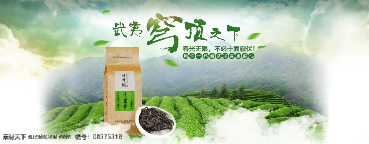 茶叶 类 天猫 春天 首页 海报 图 模版下载 天空 生态 清新 绿色 淘宝界面设计 淘宝装修模板
