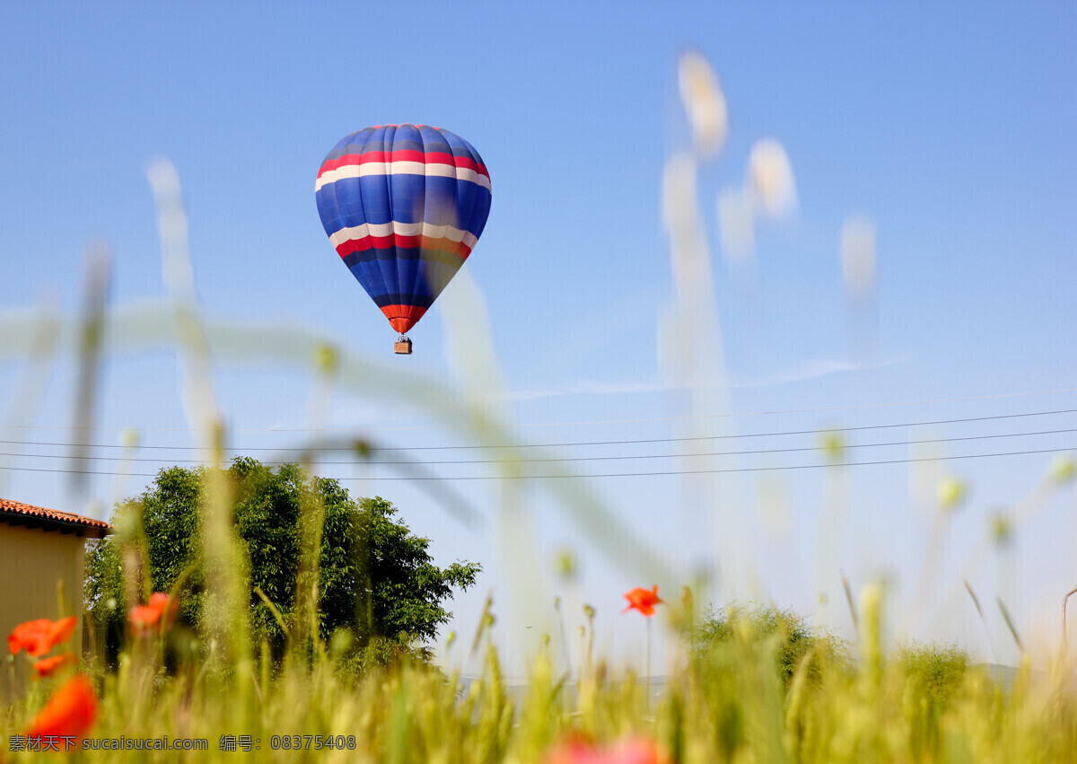 天空 中 飞翔 热气球 蓝天 白云 草 鲜花 飞翔的热气球 其他类别 生活百科 蓝色