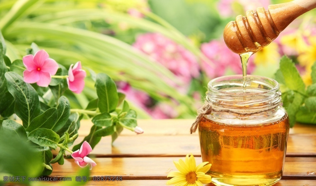 蜂蜜 蜜蜂 高清蜂蜜 蜂巢 食品 蜜糖 蜂产品 餐饮美食 传统美食 食物原料