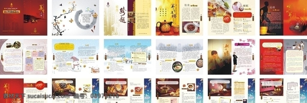 冬季养生手册 冬季 养生 滋补 人参 燕窝 虫草 石斛 鹿茸 画册设计 矢量