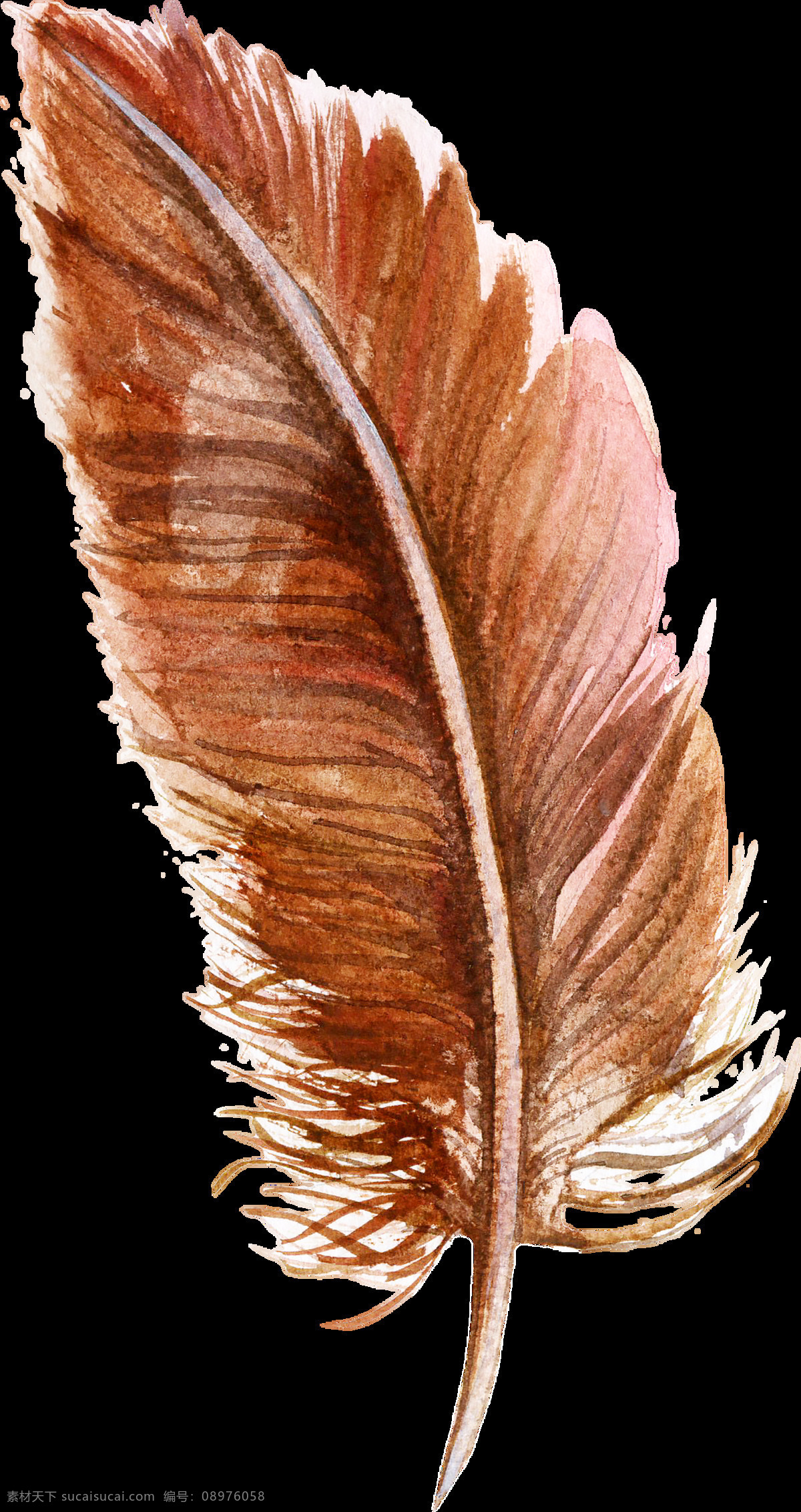 棕色 羽毛 卡通 透明 水彩 免扣 手绘 透明素材 装饰 设计素材 淘宝素材 海报设计装饰 装饰图案