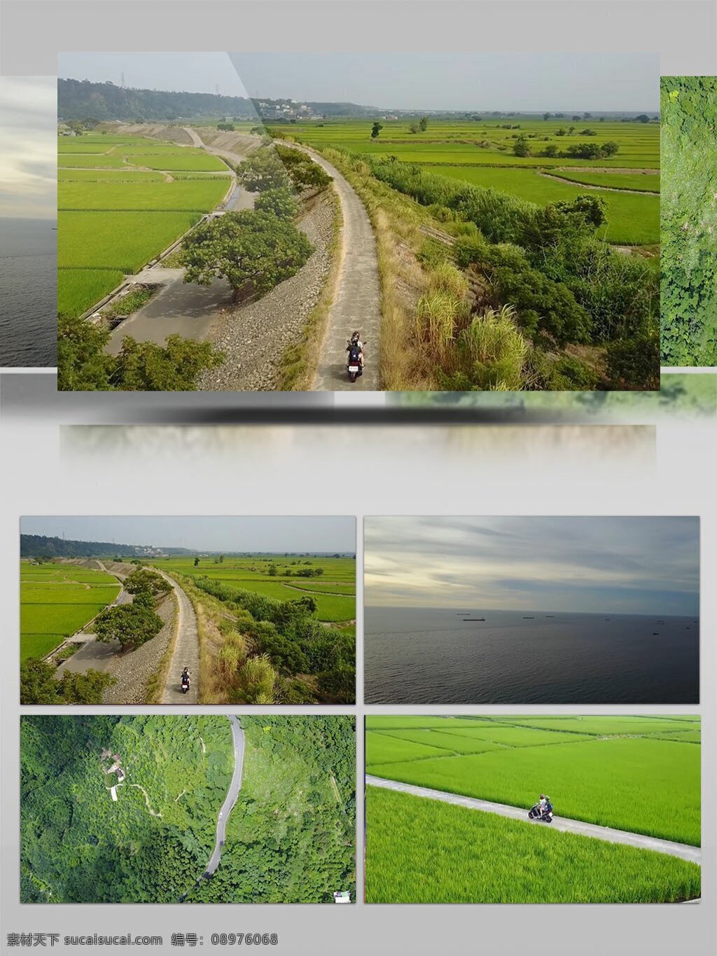 乡村 田野 浪漫 美丽 风景如画 稻田 平原风景