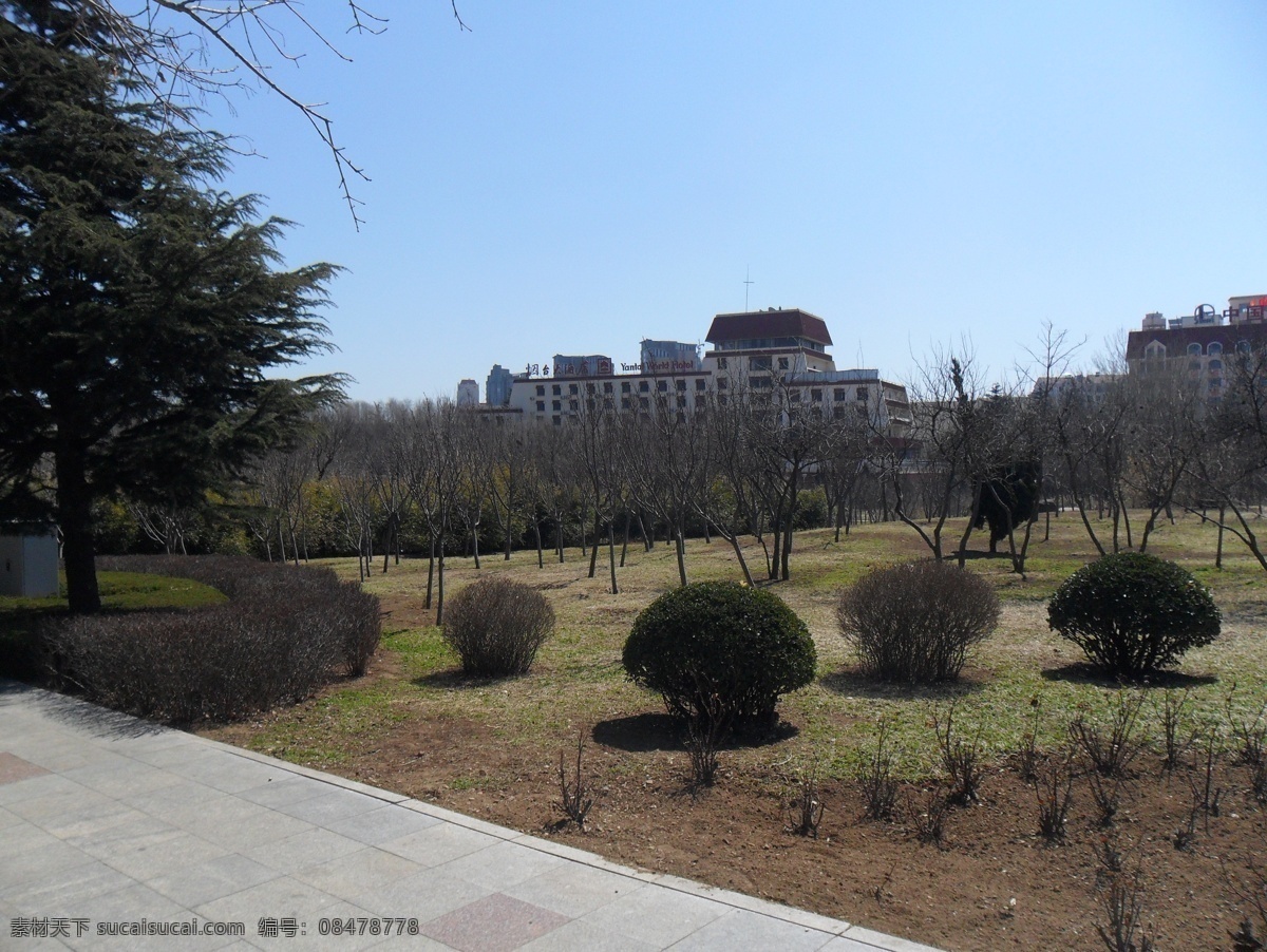城市风景 城市建筑 公园 灌木丛 国内旅游 海边 海景 花园 街道风景 街道 树木 烟台海边 旅游摄影 风景 生活 旅游餐饮