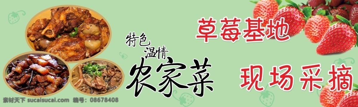 草莓大棚 采摘基地展布 草莓采摘 农家院 绿色