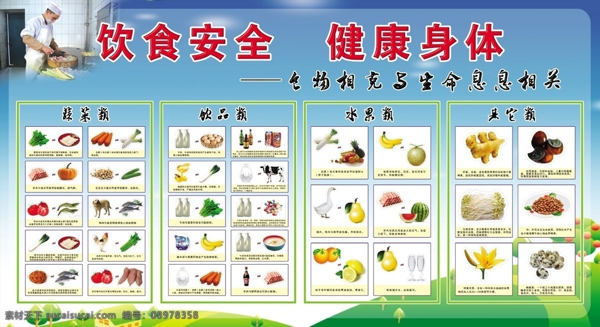 饮食安全 食物相克 蔬菜 水果 饮品 饮料 生命健康 展板模板 广告设计模板 源文件