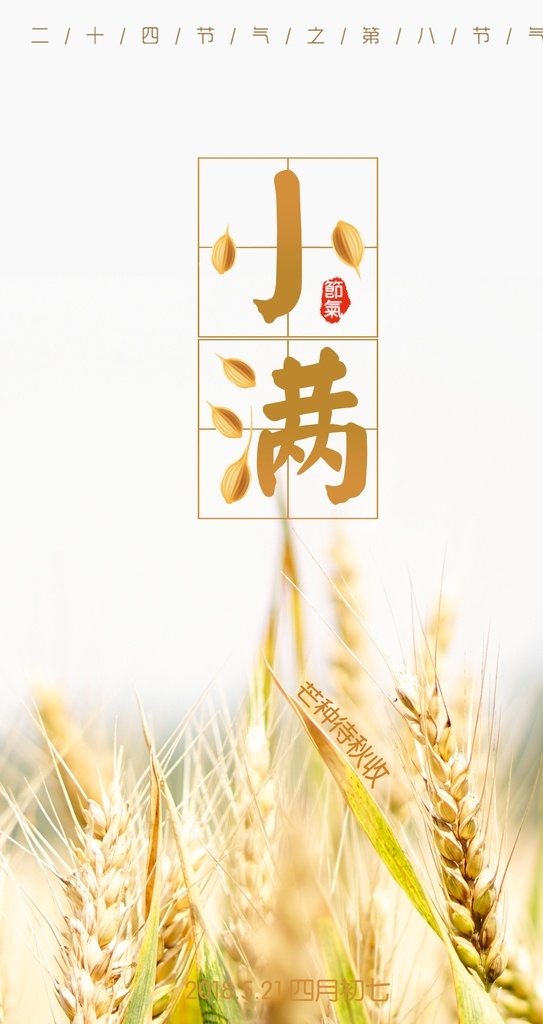小满 二十四节气 廿四节气 中国传统 传统节气 24节气 农历节气 一年四季 立春 雨水 惊蛰 春风 清明 谷雨 立夏 芒种 夏至 小暑 大暑 立秋 处暑 白露 秋分 寒露 霜降 立冬 小雪 大雪 冬至 小寒 大寒 季节背景 春夏秋冬 黄道 手绘水彩 节气插画 中国节日 节气知识 节气壁画 中国风 世界节日 展板模板