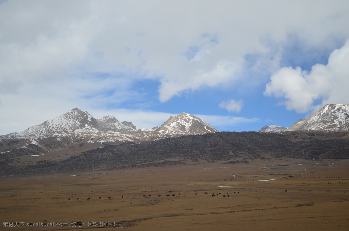 西藏 青藏高原 青藏铁路 铁路沿线 拉萨 雪山 冬季青藏高原 西藏雪山 枯黄 白云 蓝天 旅游摄影 国内旅游 灰色