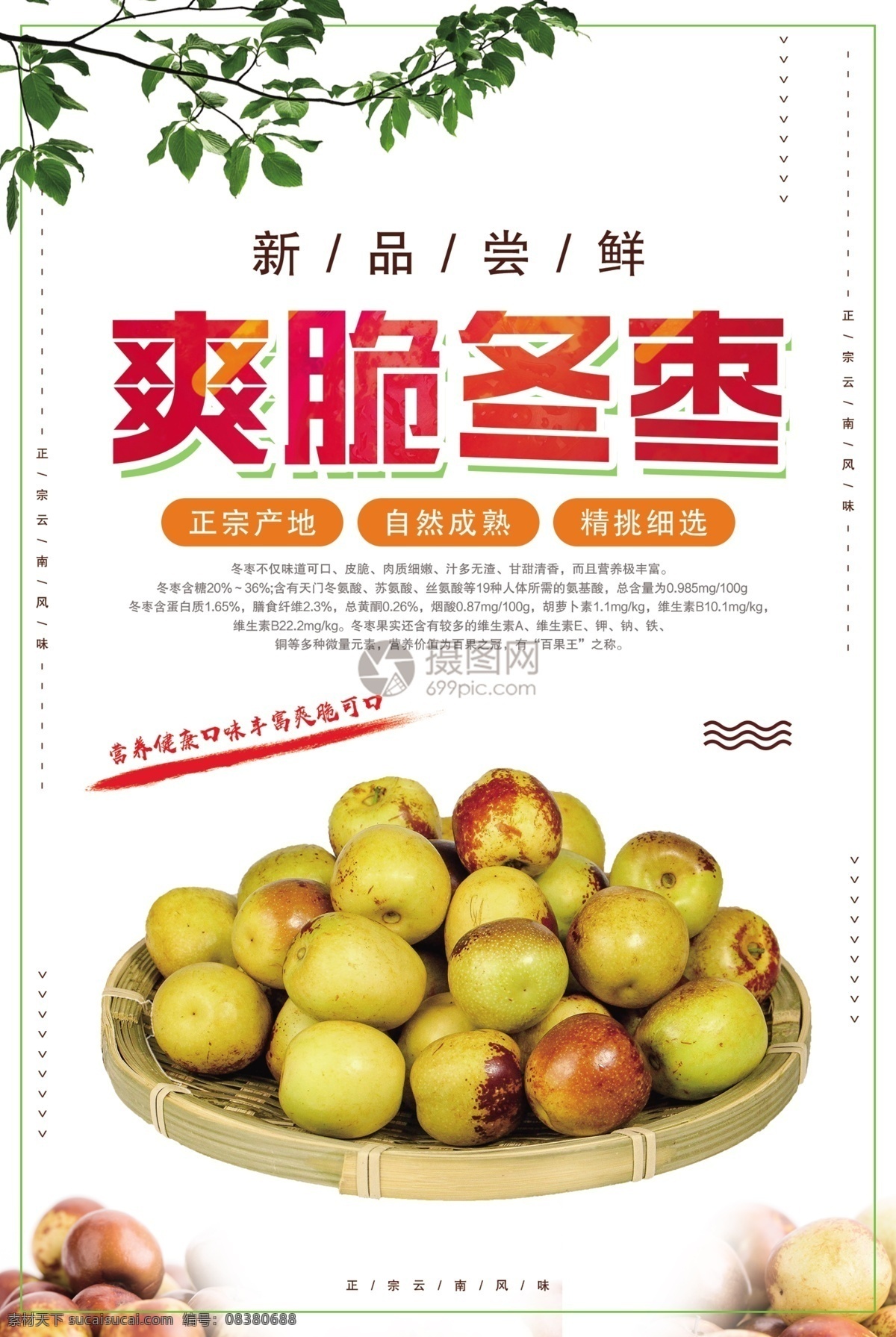 爽脆 冬枣 枣子 大枣 青枣 健康 美味 新鲜 应季水果 水果 营养 鲜冬枣 促销 有机 健康营养 打折 新品尝鲜 海报