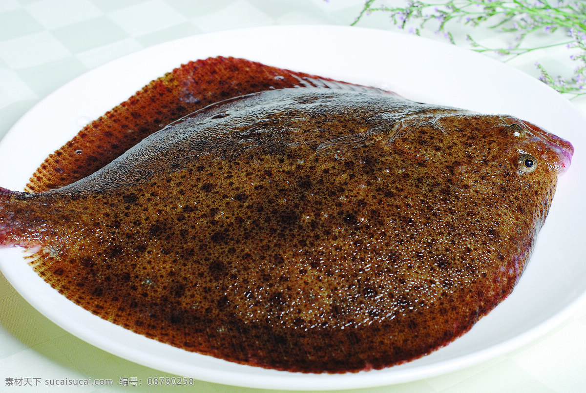 清蒸多宝鱼 广式多宝鱼 骨香多宝鱼 葱油多宝鱼 香酥多宝鱼 生焗多宝鱼 砂锅多宝鱼 蒜香多宝鱼 葱香多宝鱼 生啫多宝鱼 豉汁多宝鱼 餐饮美食 传统美食