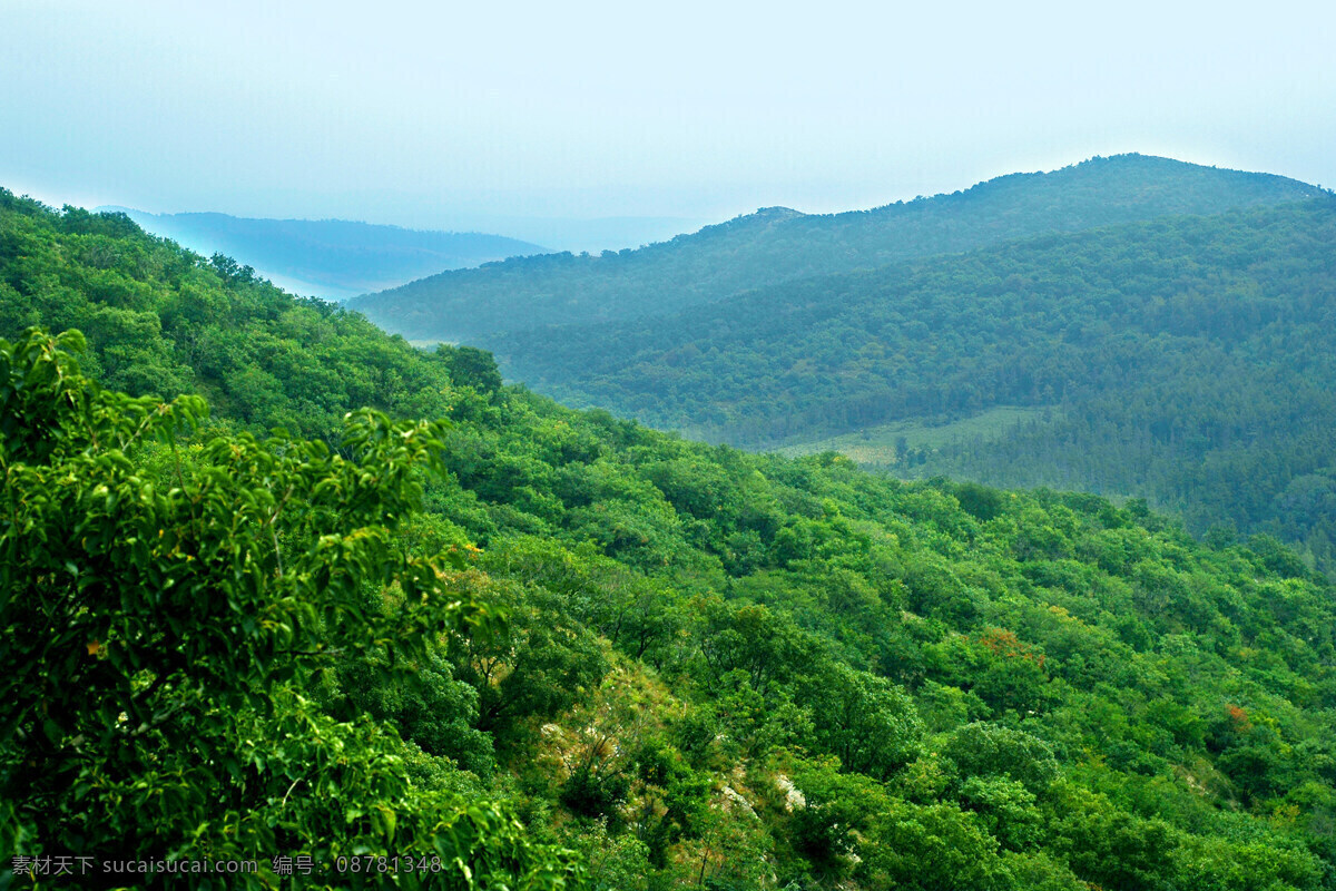 风光 风景 绿色 山 山峰 山水风景 树木 自然风光 溪源 峡谷 石 峡谷风光 自然景观 白清寨风光 自然风景 家居装饰素材 山水风景画