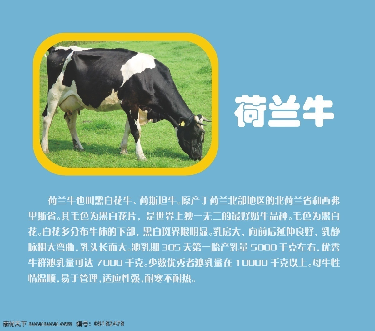 荷兰 牛 衫寂 海报 其他海报设计