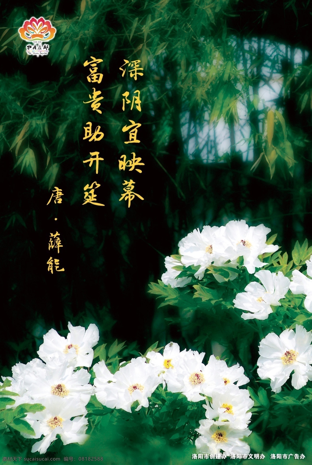 牡丹 花都 海报 城市 宣传海报 宣传 黑色