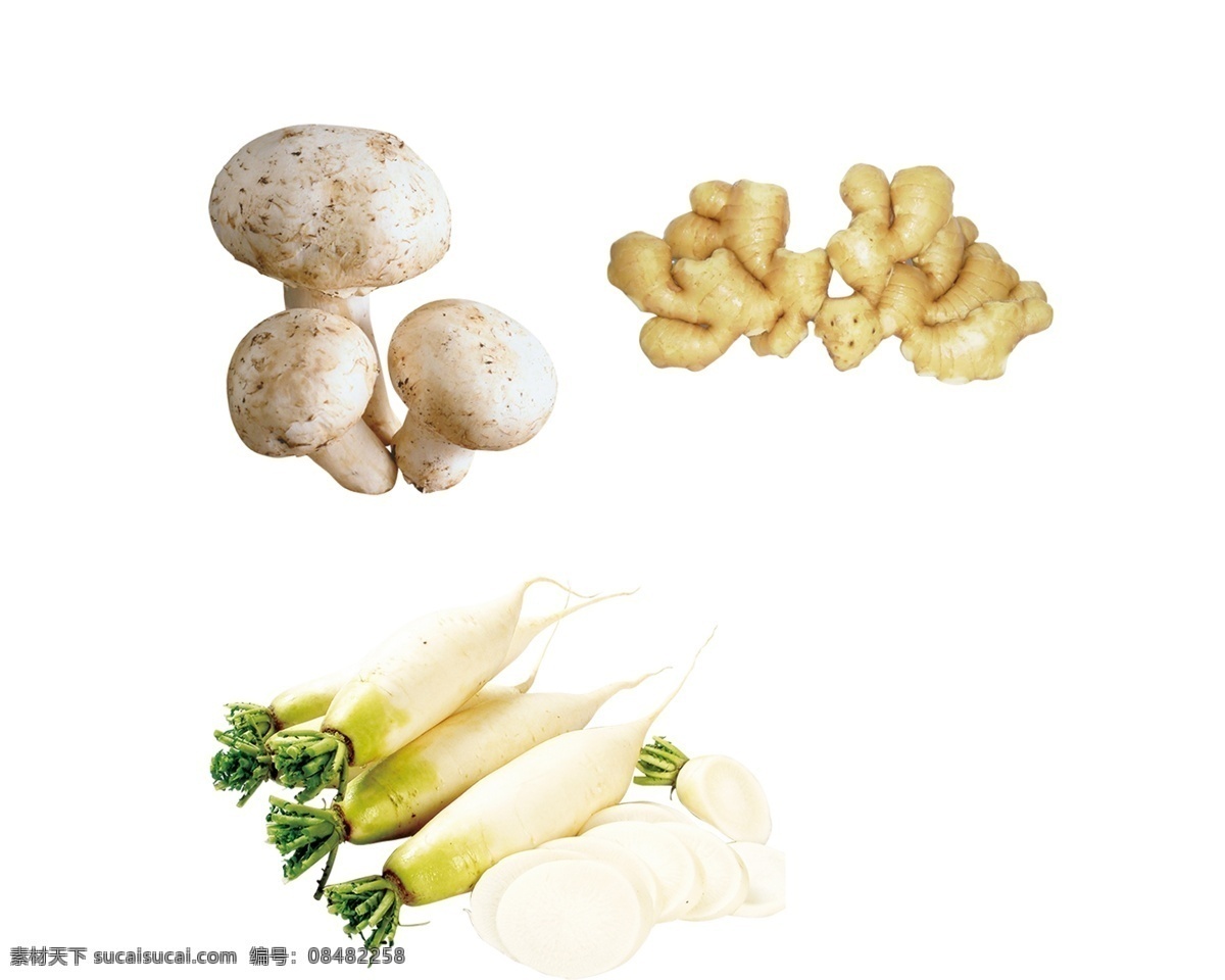 蔬菜素材分层 蔬菜 分层 蘑菇 口菇 白萝卜 姜
