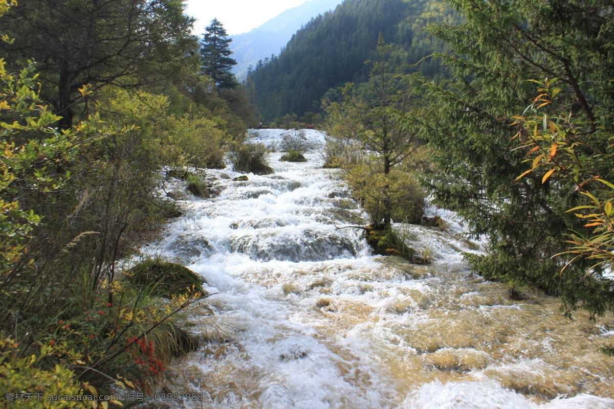 九寨沟 九寨沟风光 九寨沟风景 四川九寨沟 山水 九寨沟风情 九寨沟黄龙 黄龙景区 四川黄龙 山水风光 九寨沟之旅 自然景观 风景名胜