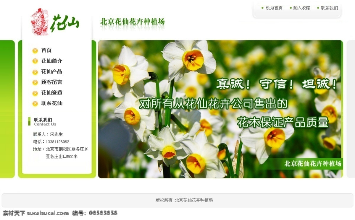花卉 种植园 网页模板 中国风格 绿色色调 网页素材