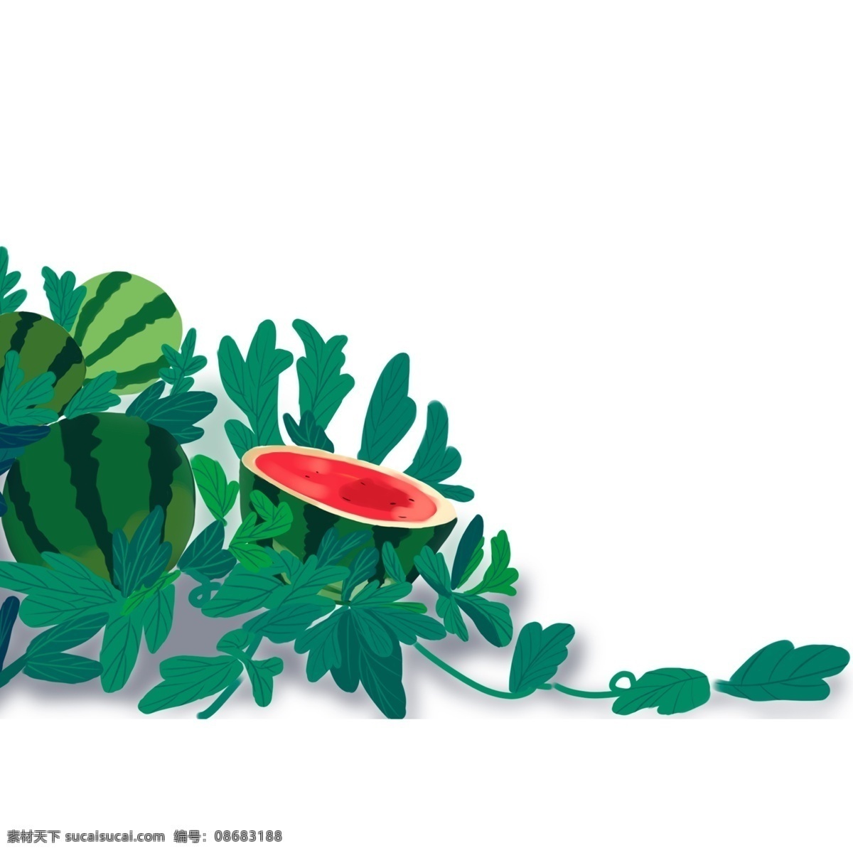 清新 手绘 西瓜 插画 元素 绿色 夏季 水果 藤蔓