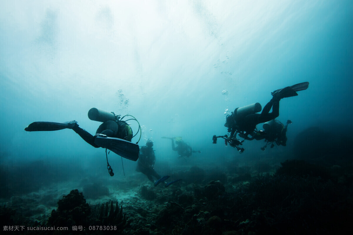 海底 潜水员 海底潜水员 潜水员图片 生物世界 海洋生物