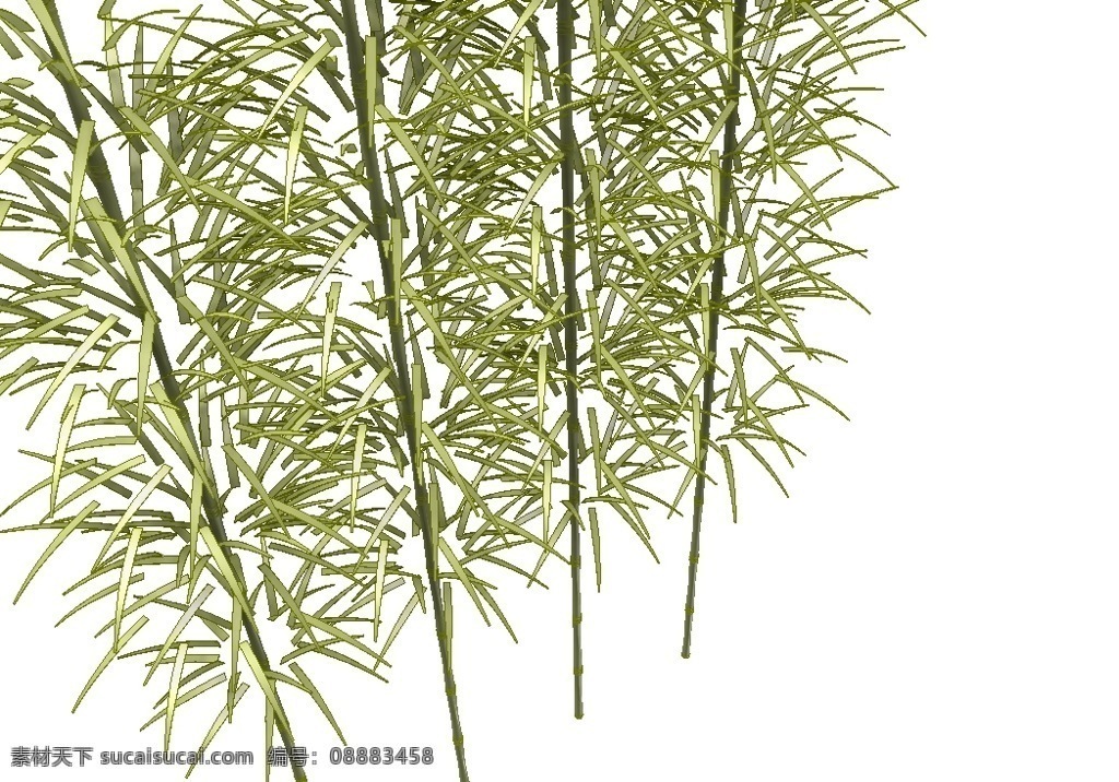 竹 景观 植物 3d模型素材 室内场景模型
