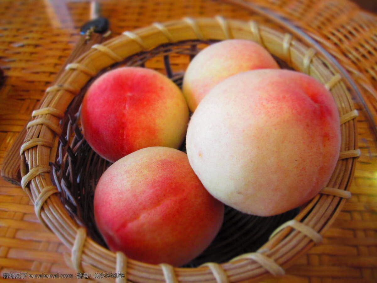 水蜜桃 桃子 个头圆 红黄镶色 皮薄 果肉丰富 汁多味甜 夏令果品 水果品种之一 水果图集 水果 生物世界