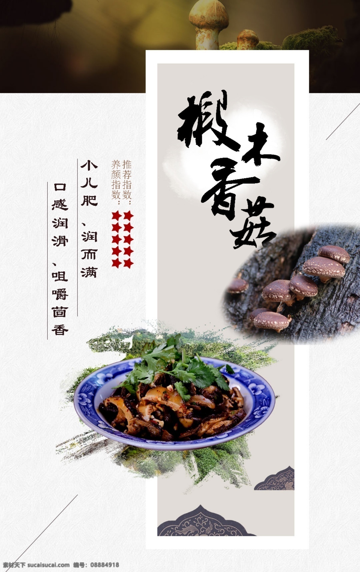 大山 山珍野味 中国风 手机端海报 美食 食品 菜肴 舌尖上的美食 舌尖上的中国 原生态 健康 养生 椴木 花菇