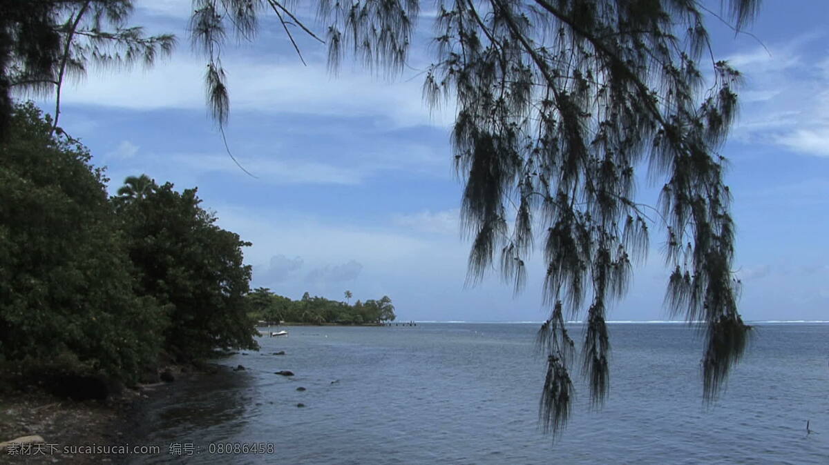 塔希提 树 泻湖 股票 录像 岛 海湾 海洋 热带 法属波利尼西亚 水 分支 岸边 视频 其他视频