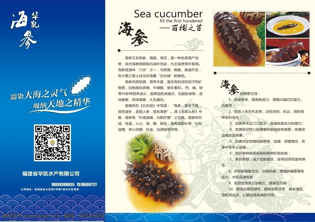 野生海参折页 三折页 海参 海参宣传 海参海报 海参广告 分层