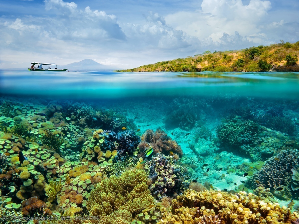 海洋 海底世界 清澈 大海 海景 游船 海岛 珊瑚 珊瑚礁 自然景观 自然风景