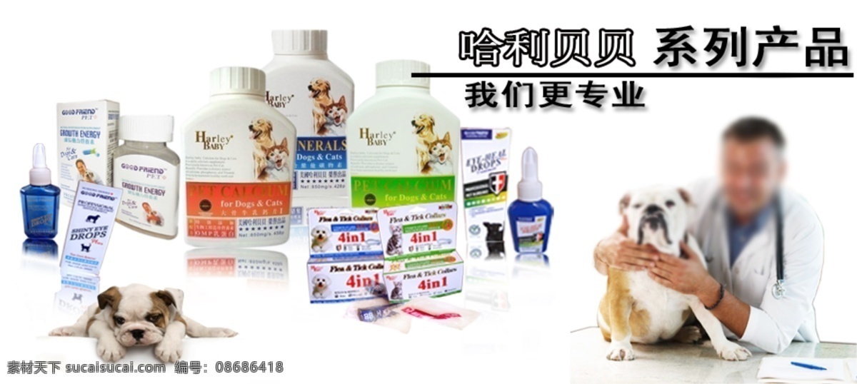 背景 狗 广告图 健康 其他模板 淘宝网 网页模板 网页主图 淘宝网广告图 首页 主图 产品展现 产品包装图 海报 人与动物 药品 源文件 淘宝素材 淘宝促销标签